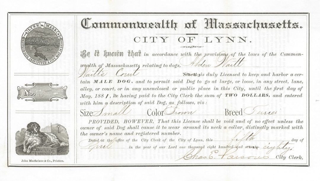 City of Lynn Dog License -  1875-1883 dated Americana