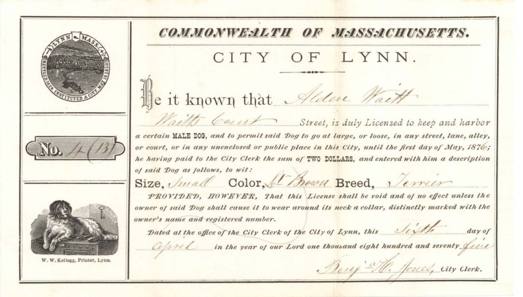 City of Lynn Dog License -  1875-1883 dated Americana