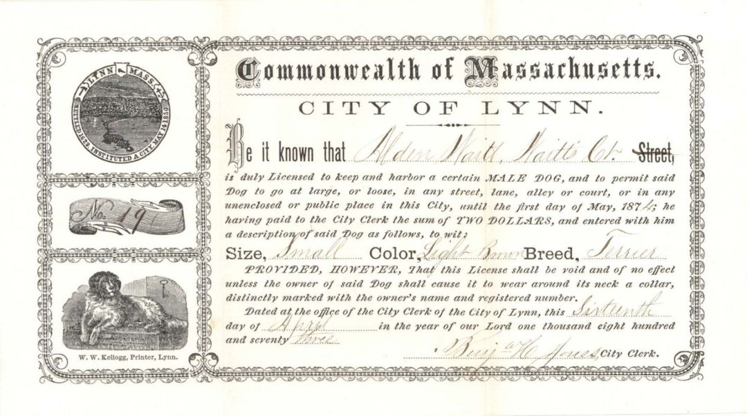 City of Lynn Dog License -  1873 or 1874 dated Americana