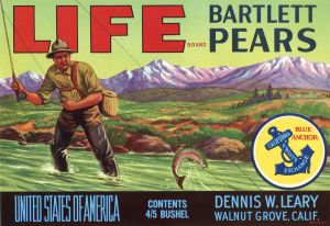 Life Bartlett Pears - Fruit Crate Label