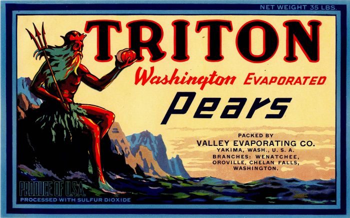 Triton - Fruit Crate Label