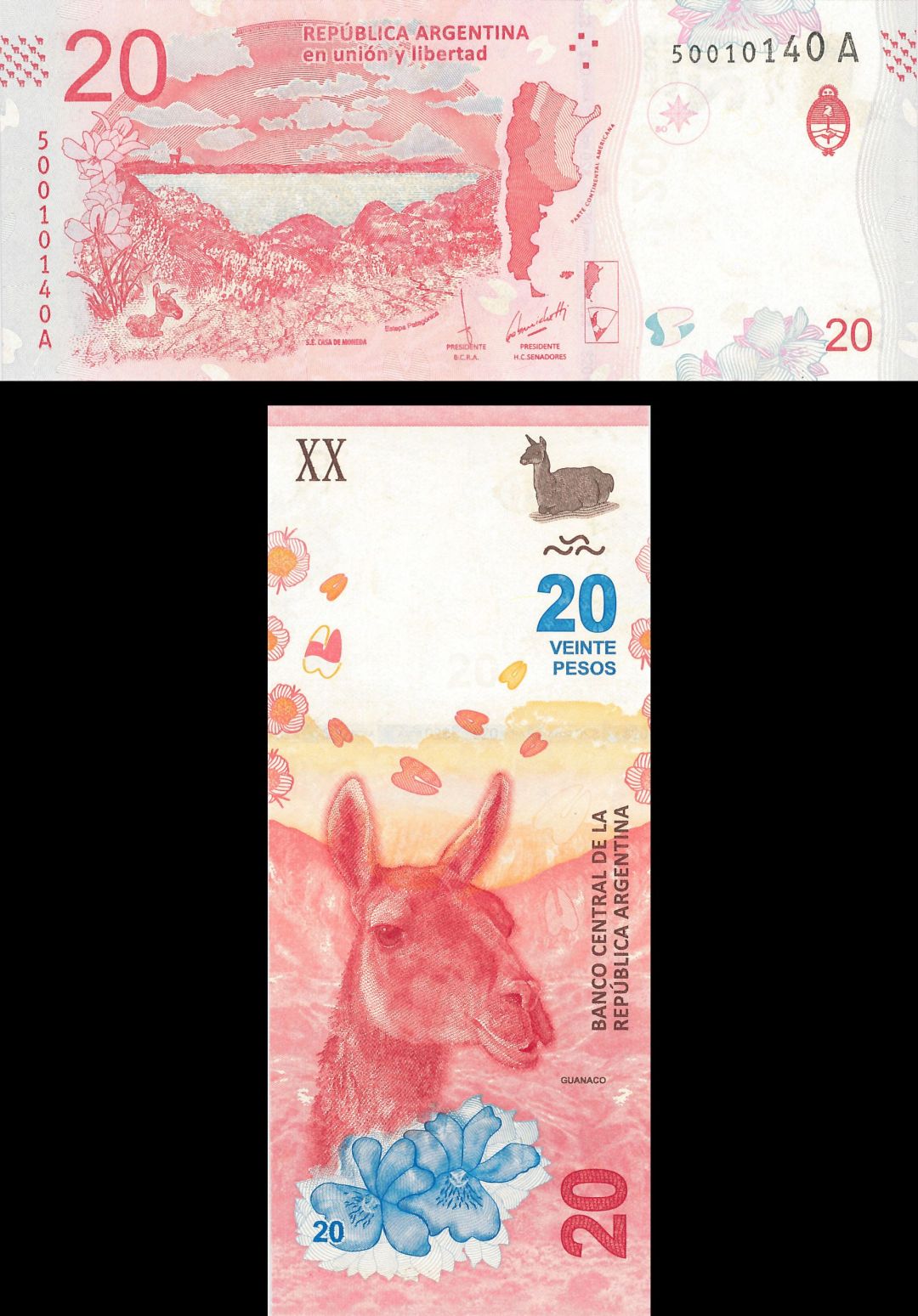 Argentina - 20 Pesos - P-New - Foreign Paper Money