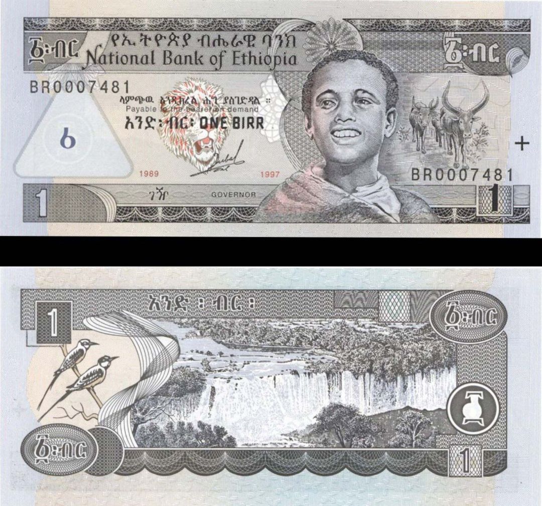 Ethiopia - 1 Birr - P-46a - 1989 dated Foreign Paper Money