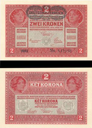 Austria - 2 Kronen - P-21 -  1917 dated Foreign Paper Money