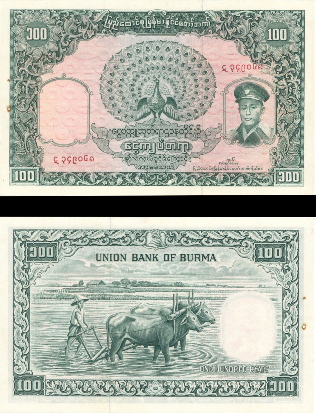 Burma - 100 Kyats - P-51 -  Foreign Paper Money