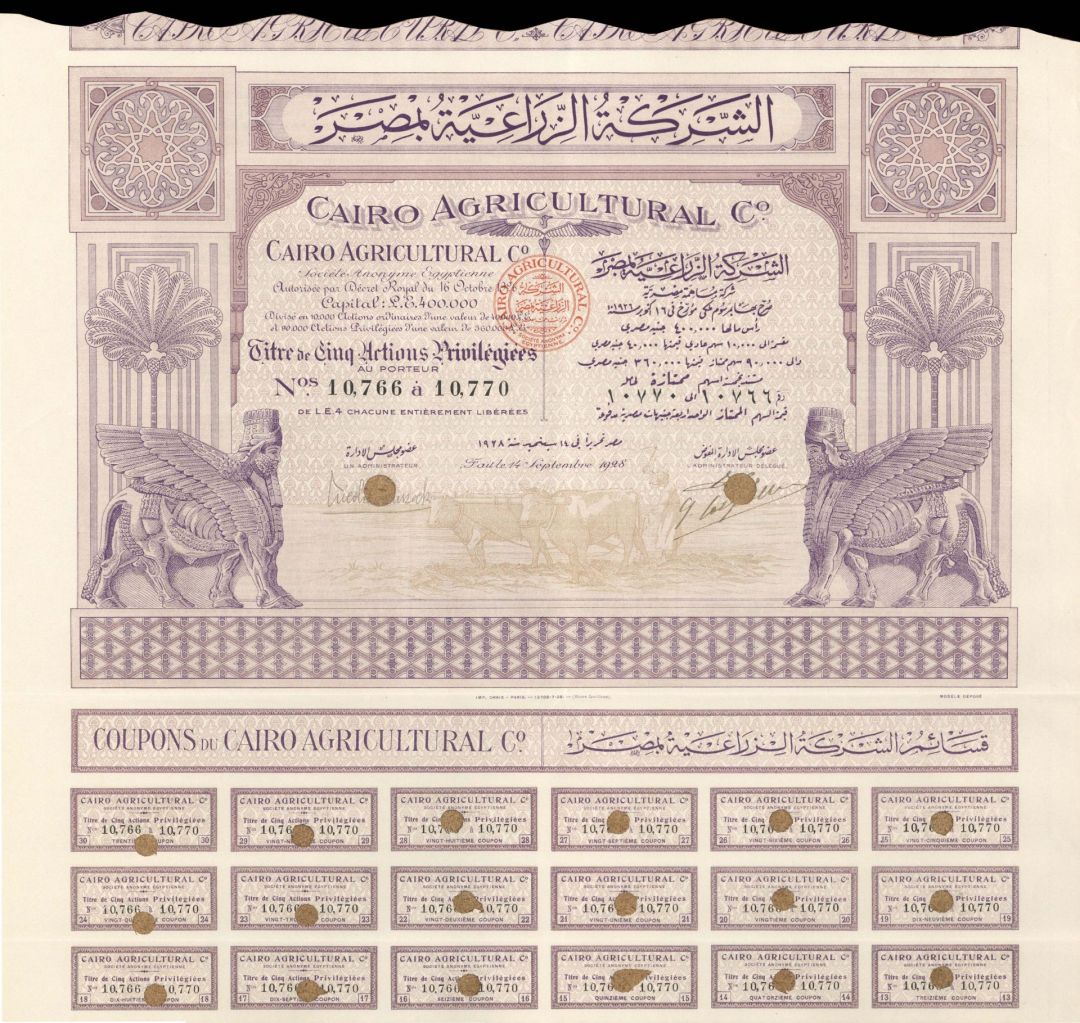 Cairo Agricultural Co. - 1928 dated Stock Certificate