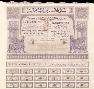 Cairo Agricultural Co. - 1928 dated Stock Certificate