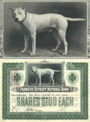 Farmers Deposit National Bank Stock dated 1910-30's - Beautiful Dog Named Prince Vignette - Pennsylvania Banking Stock Certificate