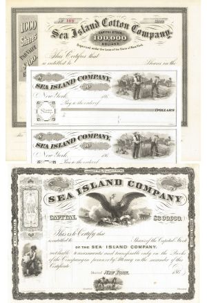 Collection of 3 (Three) Sea Island Co. Items - Cotton - South Carolina, Georgia, & Florida - Great History!