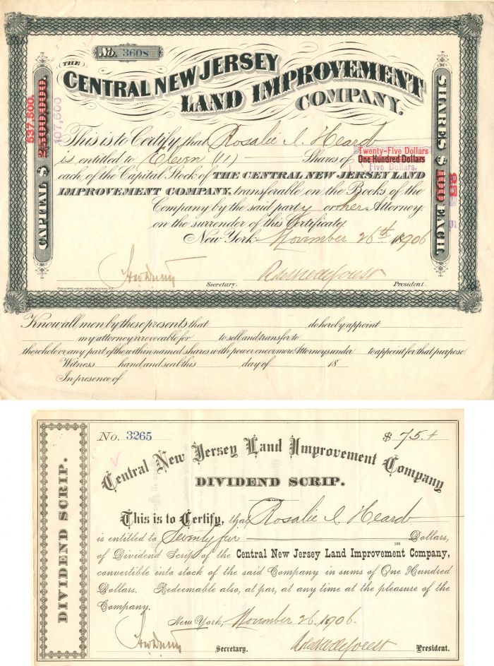 Central New Jersey Land Improvement Co. - The pair - Stock Certificate