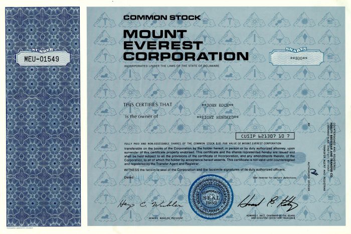 Mount Everest Corporation