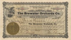 Brewster Orchards Co.  - 1911 dated Stock Certificate