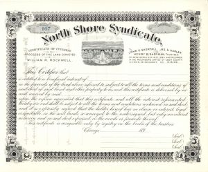 North Shore Syndicate -  Unissued Stock Certificate