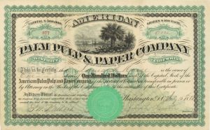 American Palm Pulp and Paper Co. - 1880 dated Stock Certificate