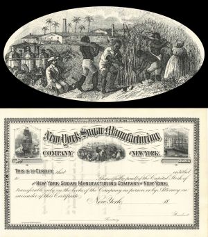 New York Sugar Manufacturing Company of New York - Unissued Stock Certificate