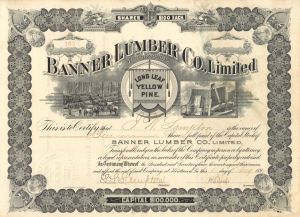 Banner Lumber Co., Limited - Gorgeous Vignette - 1896 dated Stock Certificate