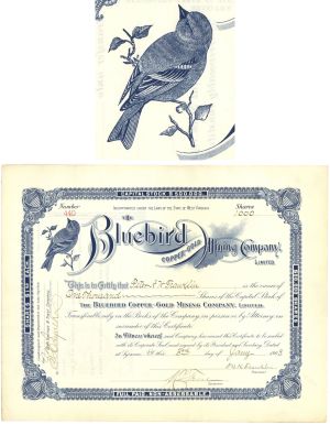 Bluebird Copper-Gold Mining Co. - Beautiful Blue Bird Vignette - 1903 dated Stock Certificate