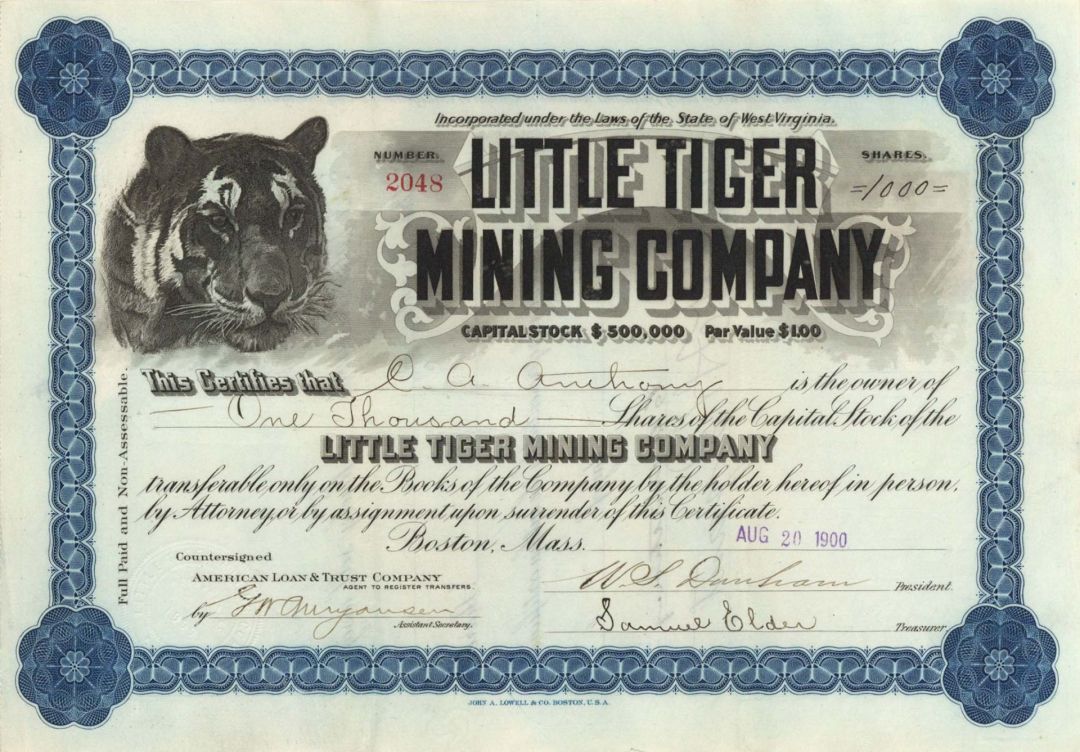 Little Tiger Mining Co. - 1900 dated Stock Certificate