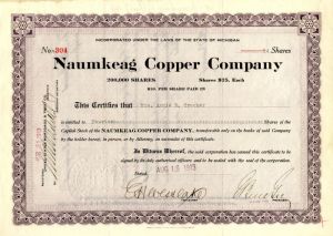 Naumkeag Copper Co.