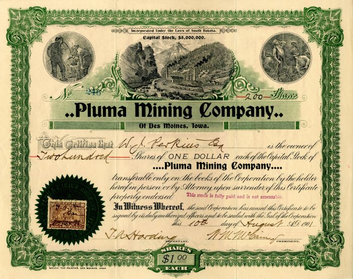 Pluma Mining Co. - Stock Certificate