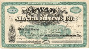 Newar Silver Mining Co. - 1878 dated Stock Certificate