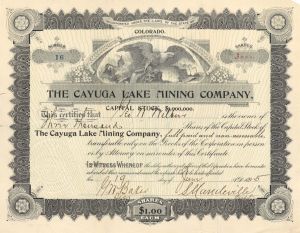 Cayuga Lake Mining Co.  - 1895 dated Stock Certificate