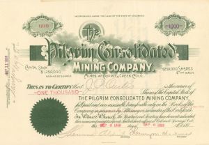 Pilgrim Consolidated Mining Co. - 1899 dated Mining Stock Certificate