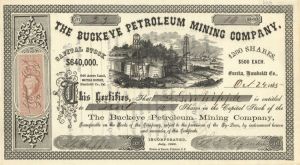 Buckeye Petroleum Mining Co. -  1865 dated Stock Certificate