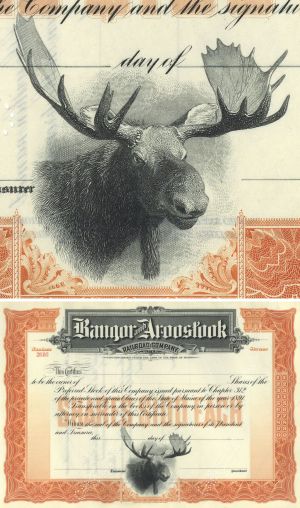 Bangor and Aroostook Railroad - Gorgeous Moose Vignette - circa 1890's Unissued Railway Stock Certificate