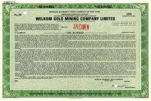 Welkom Gold Mining Co. Limited - Stock Certificate