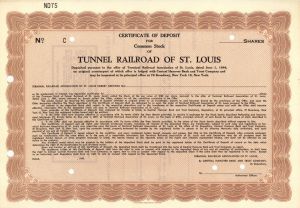 The New York, Chicago and St. Louis Railroad Company, Certificate for 100  shares, Common stock - The New York, Chicago and St. Louis Railroad Company  - LastDodo