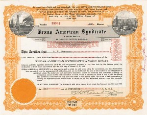 Texas American Syndicate - Stock Certificate