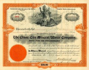 Chase City Mineral Water Co.
