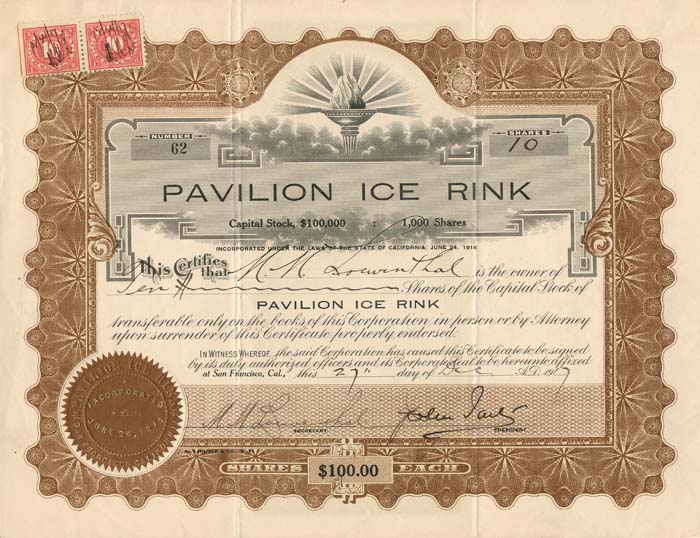 Pavilion Ice Rink